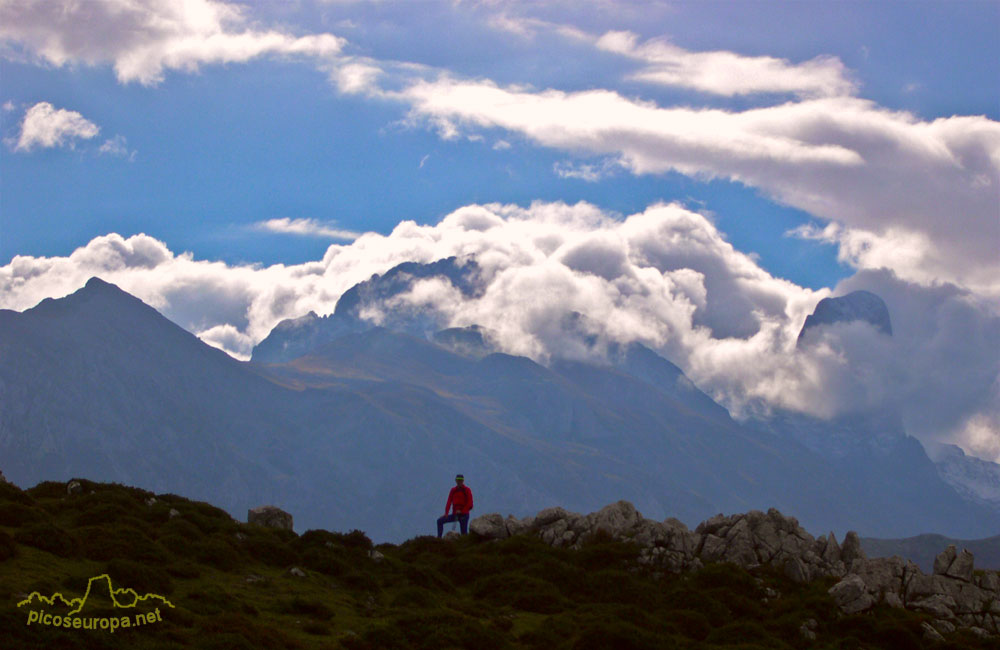 Picos de Europa desde el Collado de Posadoiro, Sierra de Portudera, Cabrales, Asturias