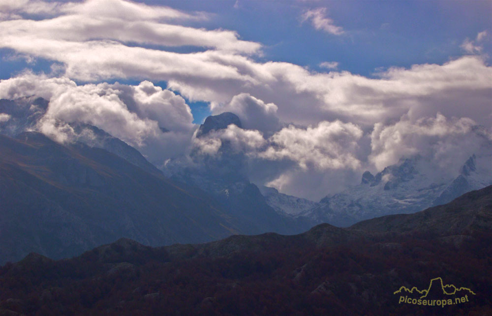 Picos de Europa desde el Collado de Posadoiro, Sierra de Portudera, Cabrales, Asturias