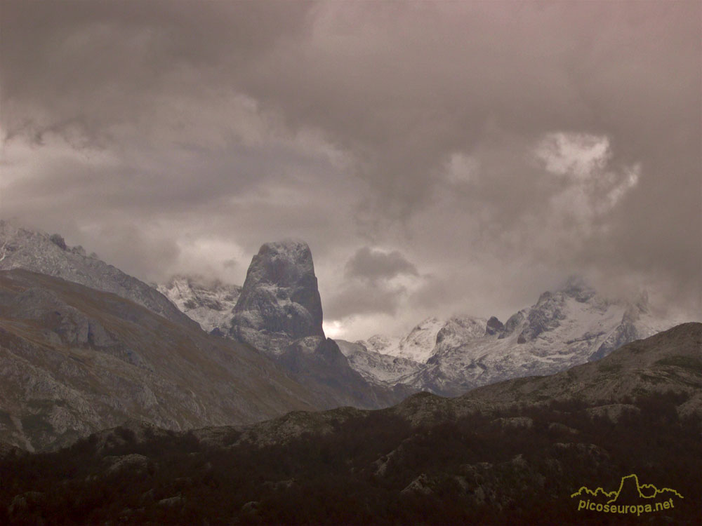 Picos de Europa desde el Collado de Posadoiro, Sierra de Portudera, Cabrales, Asturias