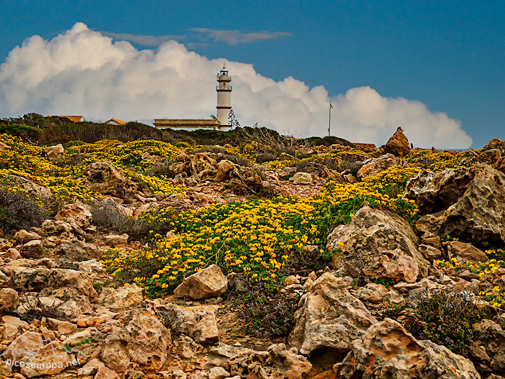 Faro Ses Salinas, situado en el Sur de la isla de Mallorca, Baleares.