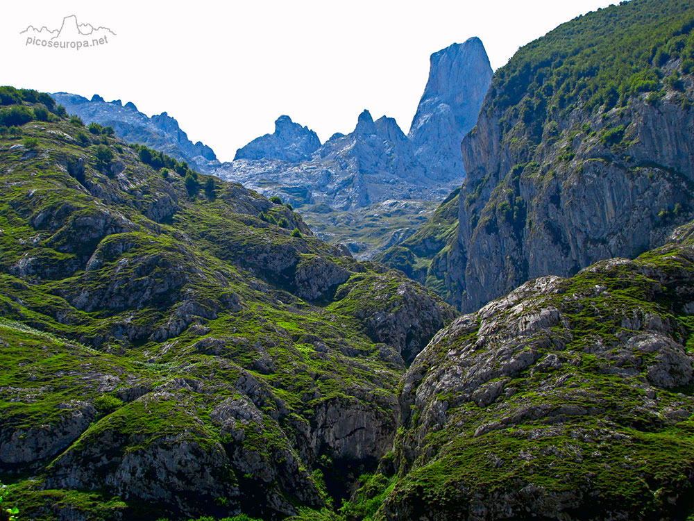 Pico de Urriellu (Naranjo de Bulnes) desde las proximidades de Bulnes