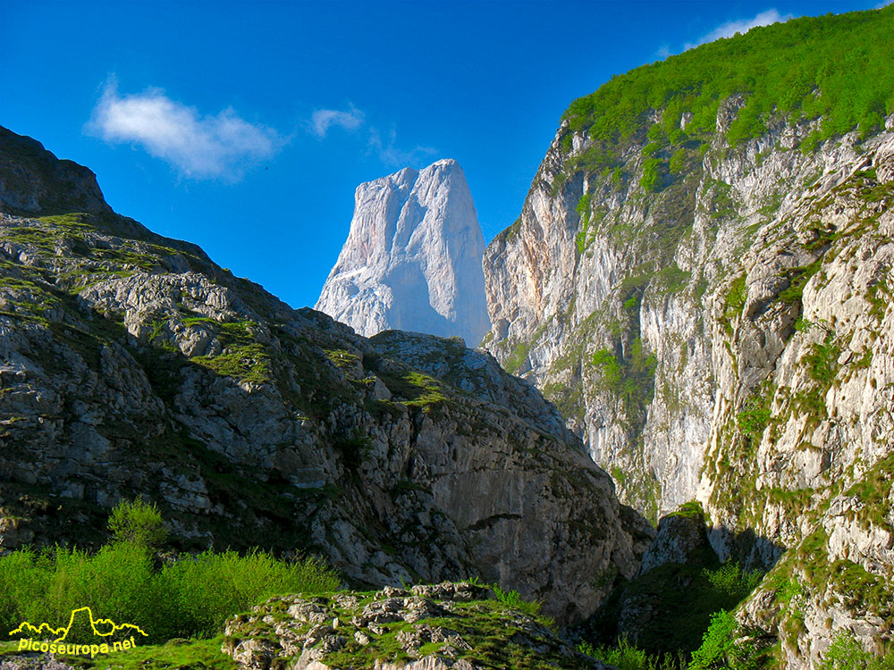 Pico de Urriellu (Naranjo de Bulnes) desde las proximidades de Bulnes