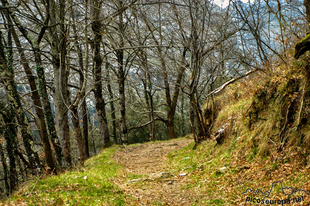 Invernales de Vanu y barrio de Muniama, Arenas de Cabrales, Asturias, Picos de Europa