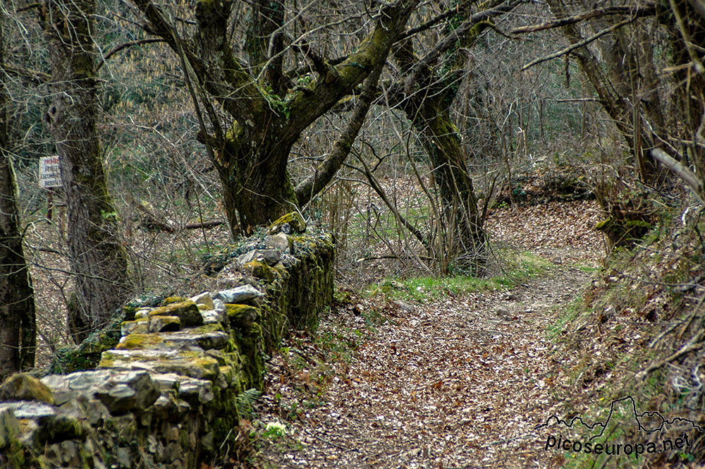 Invernales de Vanu y barrio de Muniama, Arenas de Cabrales, Asturias, Picos de Europa