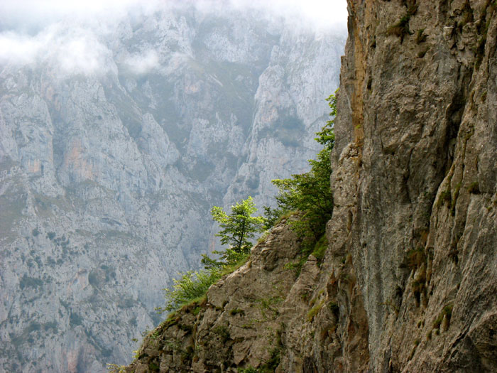 Canal de Capozo, un mundo vertical