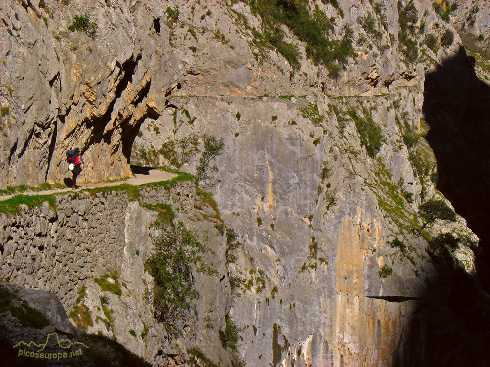 Foto: La ruta del rio Cares, Picos de Europa.