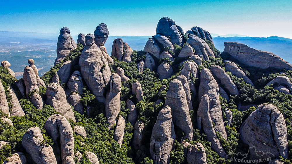 La zona de Agulles en Montserrat. Un auténtico laberinto de Agujas , algunas de ellas se levantan casi un centenar de metros sobre el bosque con paredes verticales. Catalunya