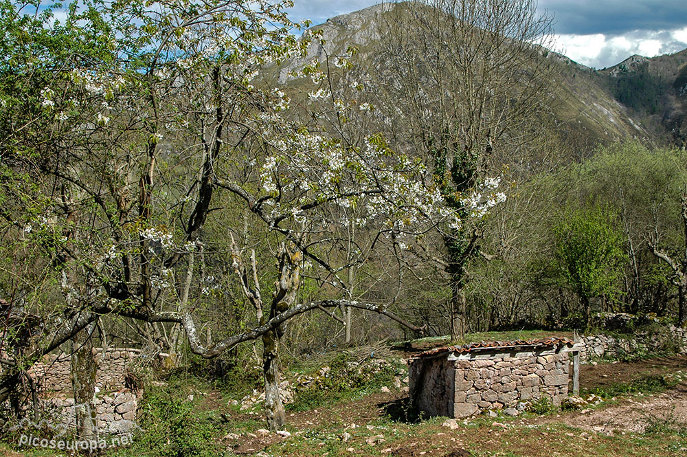 Majada de Peñalba, Covadonga, Asturias, Picos de Europa