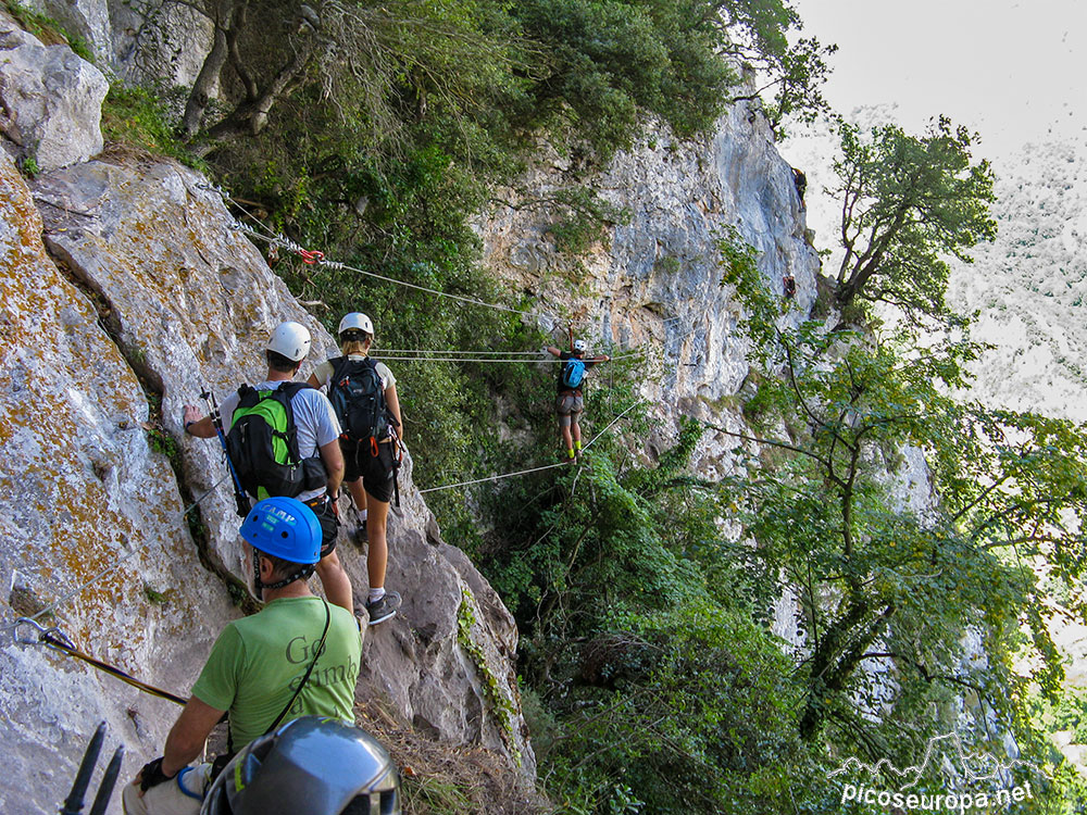 Puente tibetano de la Ferrata de la Hermida. Picos de Europa, Cantabria, España