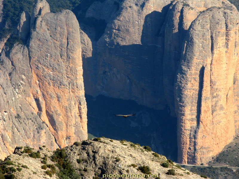 Hay que irse despidiendo de estas espectaculares vistas, ha sido una magnifica jornada