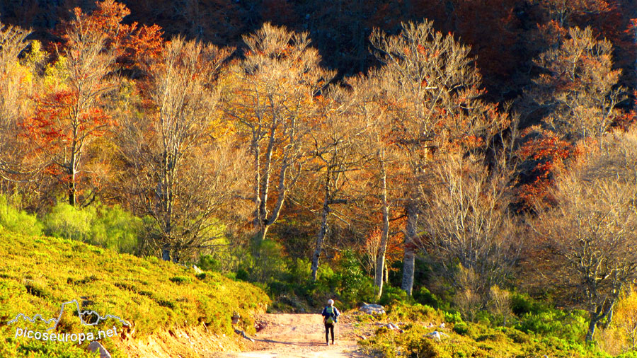 Foto: Paisajes de La Liebana, Cantabria, Picos de Europa, España