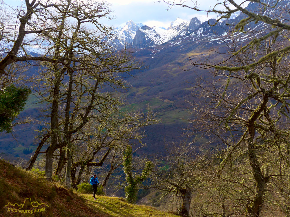 Foto: Paisajes de La Liebana, Cantabria, Picos de Europa, España