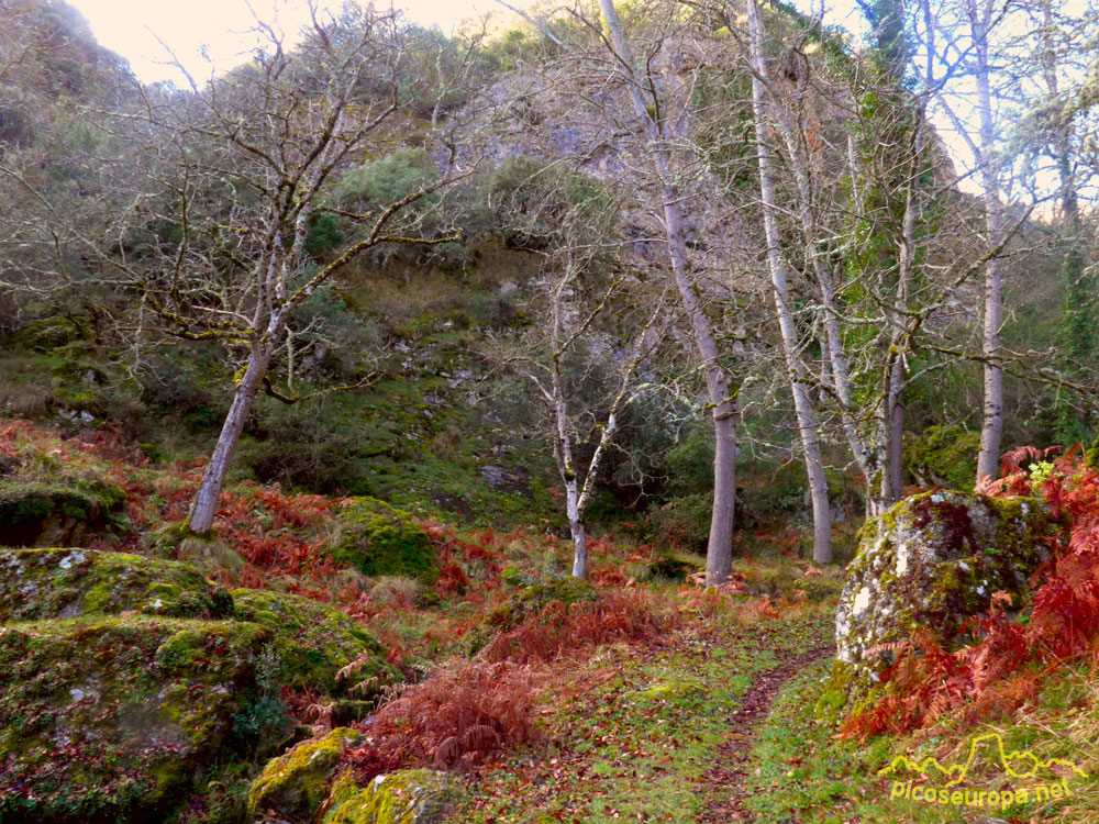 Foto: Subida de Valmeo a Maredes, La Liebana, Cantabria, Picos de Europa