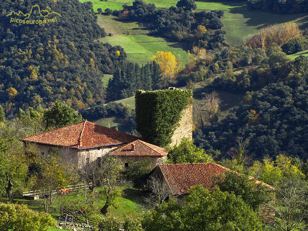 Ruta y fotos de Mogrovejo a Peña Oviedo, La Liébana, Picos de Europa, Cantabria