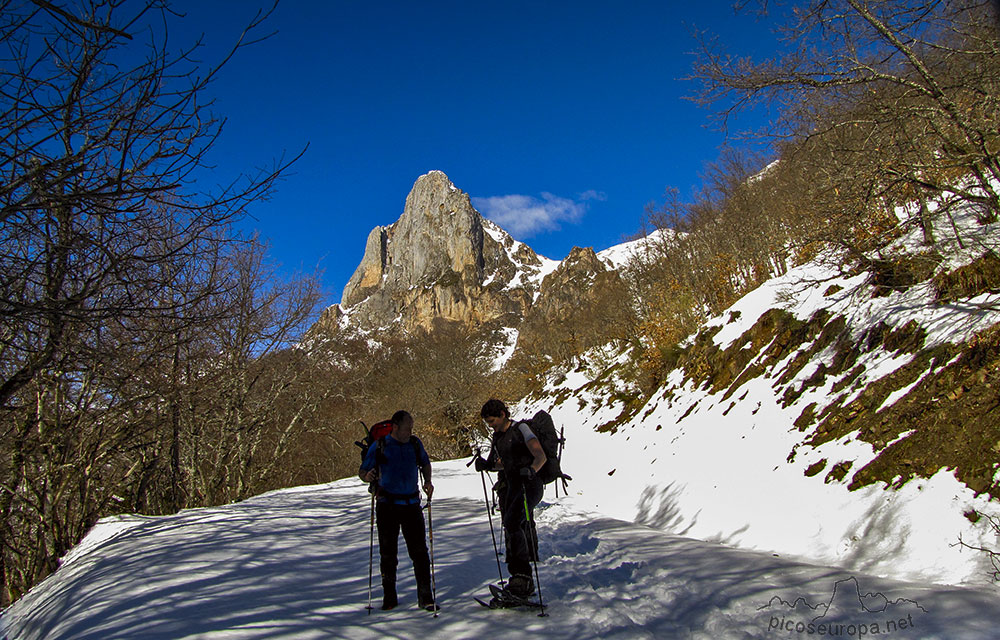 Pista de Aliva a Peña Oviedo, Picos de Europa, La Liebana, Cantabria