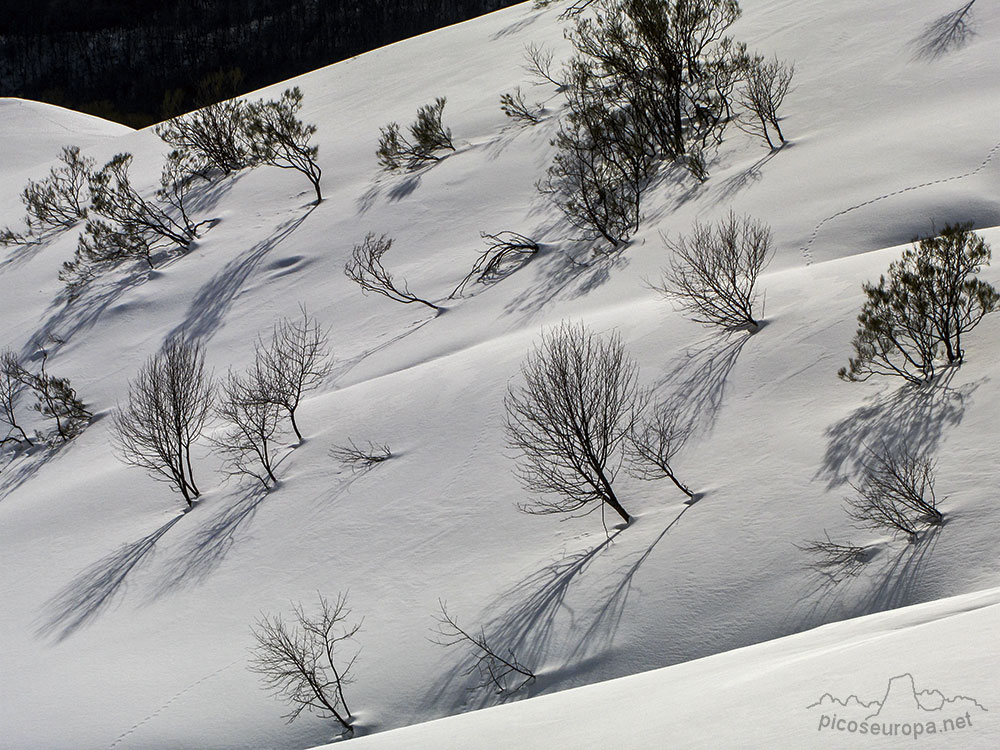 Pista de Aliva a Peña Oviedo, Picos de Europa, La Liebana, Cantabria