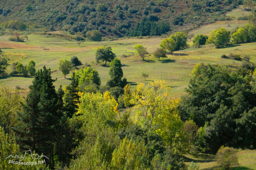 Entorno de Piasca, La Liebana, Cantabria