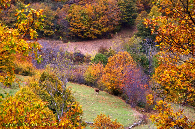 Ruta y fotos de Soto de Sajambre al Refugio de Vegabaño, León, Picos de Europa