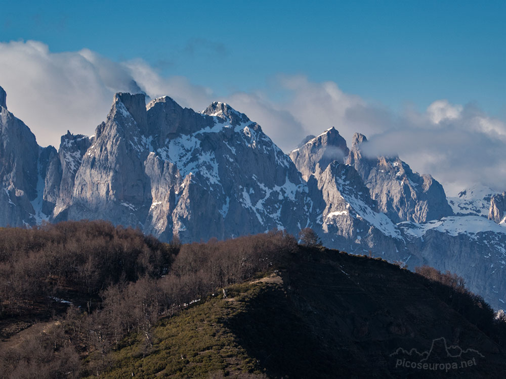 Foto: Picos de Europa desde el Puerto de Pandetrave