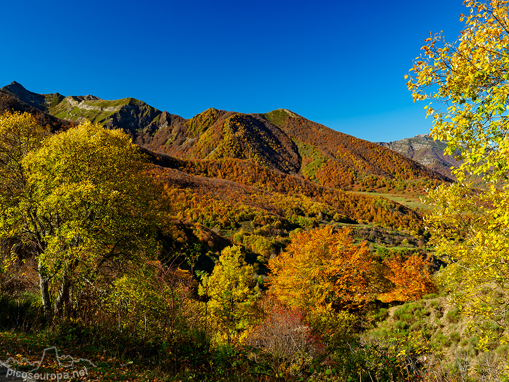 Foto: Otoño desde el Puerto de Pandetrave