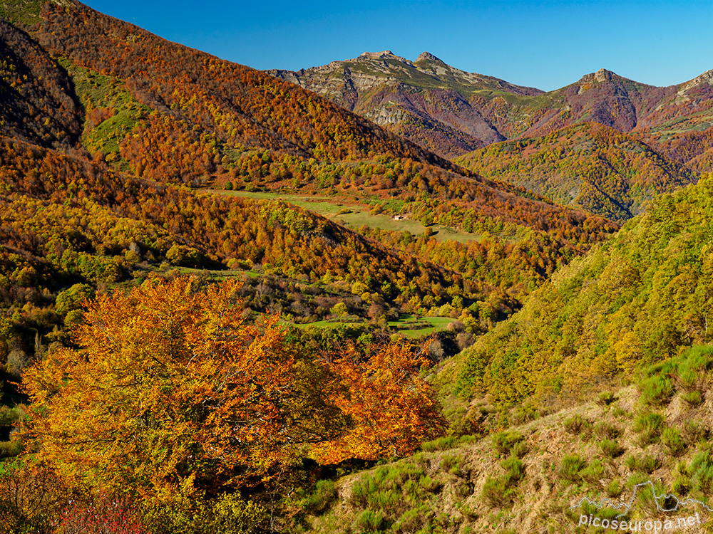 Foto: Otoño desde el Puerto de Pandetrave, al fondo los Picos del Friero