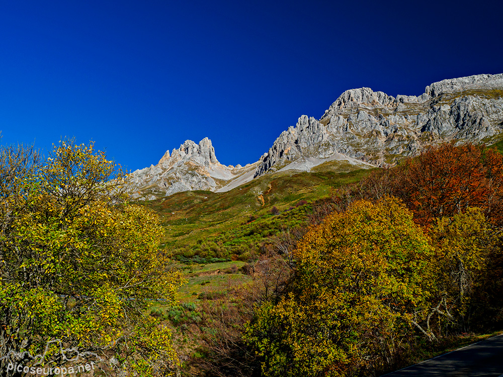 Foto: Otoño desde el Puerto de Pandetrave, al fondo los Picos del Friero