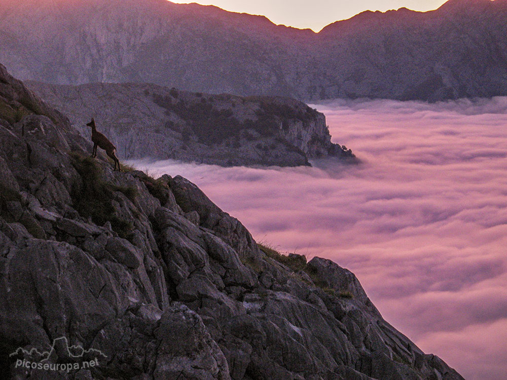 Foto: Subiendo a la Vega de Urriellu, Picos de Europa, Asturias