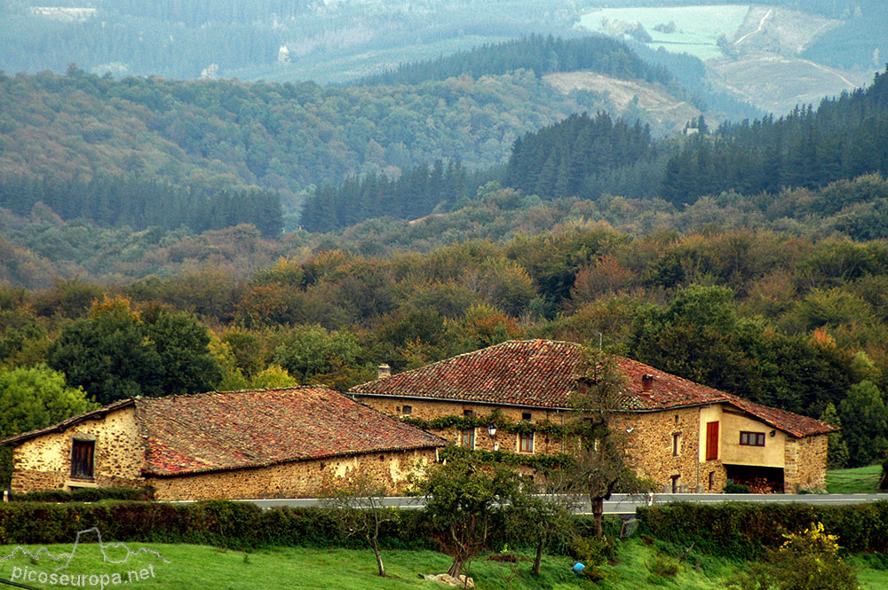 Fotos y Rutas: El Bosque de Altube, Bizkaia, Pais Vasco