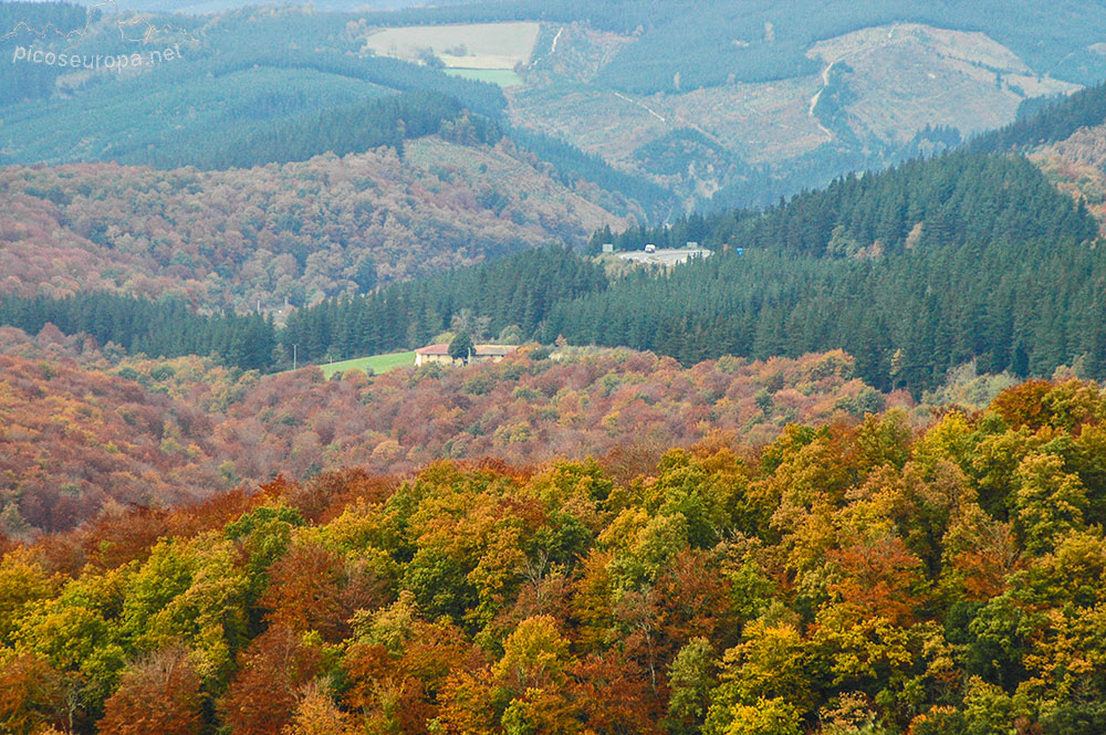 Fotos y Rutas: Bosque de Altube, Gorbeia, Pais Vasco