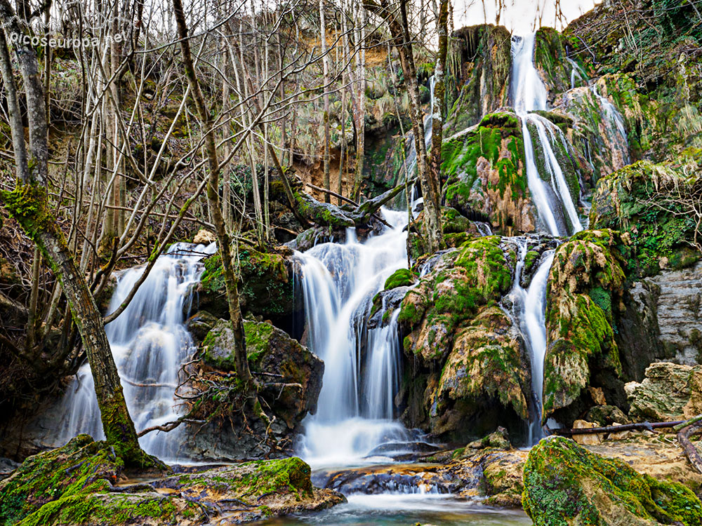 Foto: Andoin, Cascadas Toberia, Pais Vasco