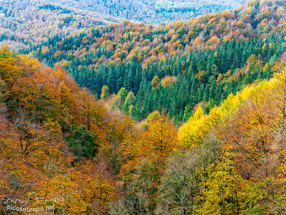 Foto: Sarastarri, Sierra de Aralar, Pais Vasco