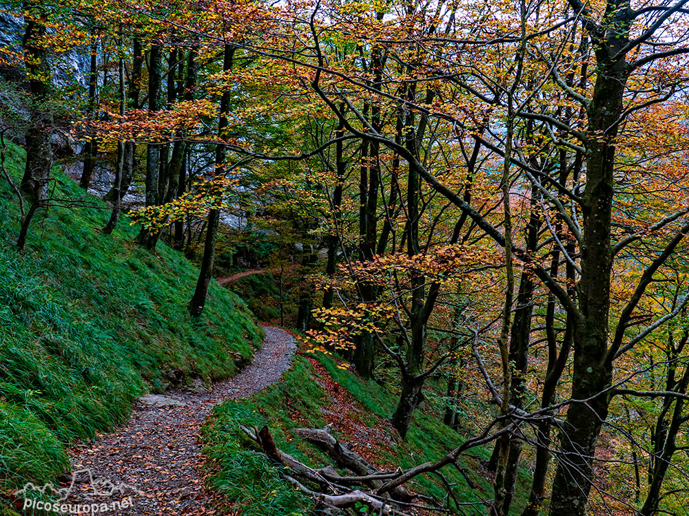 Foto: Sendero entre el Puerto de Lizarrusti y el embalse de Lareo, Aralar, Pais Vasco