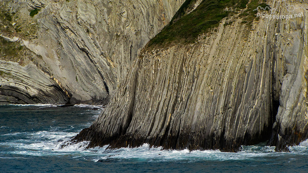 Foto: Acantilados de la Baha de Plentzia, Bizkaia, Pais Vasco.