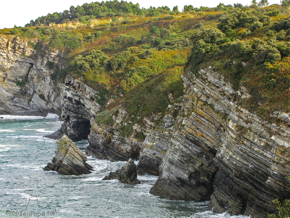 Foto: Acantilados de la Baha de Plentzia, Bizkaia, Pais Vasco.