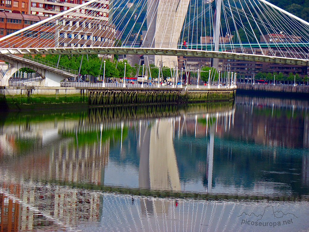 Foto: Puente de Calatrava, Bilbao, Bizkaia, Pais Vasco