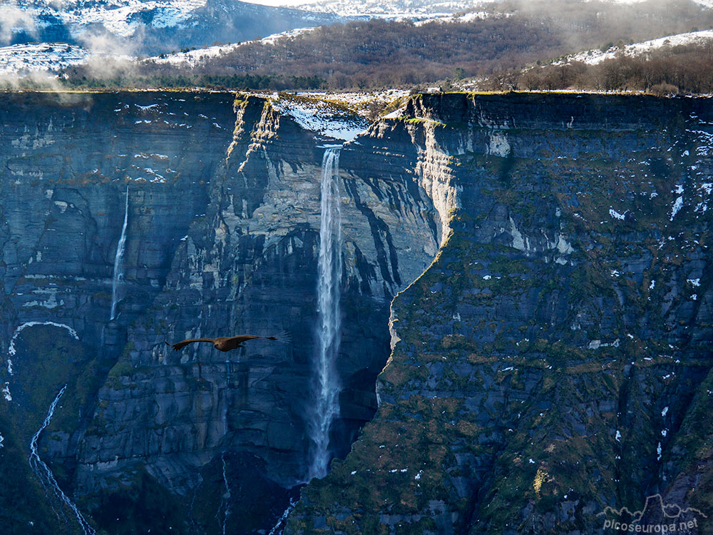 Foto: Salto del Nervión