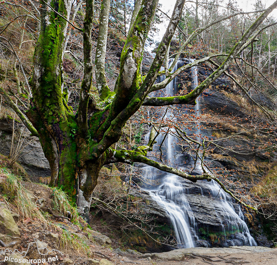 Cascada y Bosque de Uguna, Saldropo, Puerto de Barazar, Pais Vasco