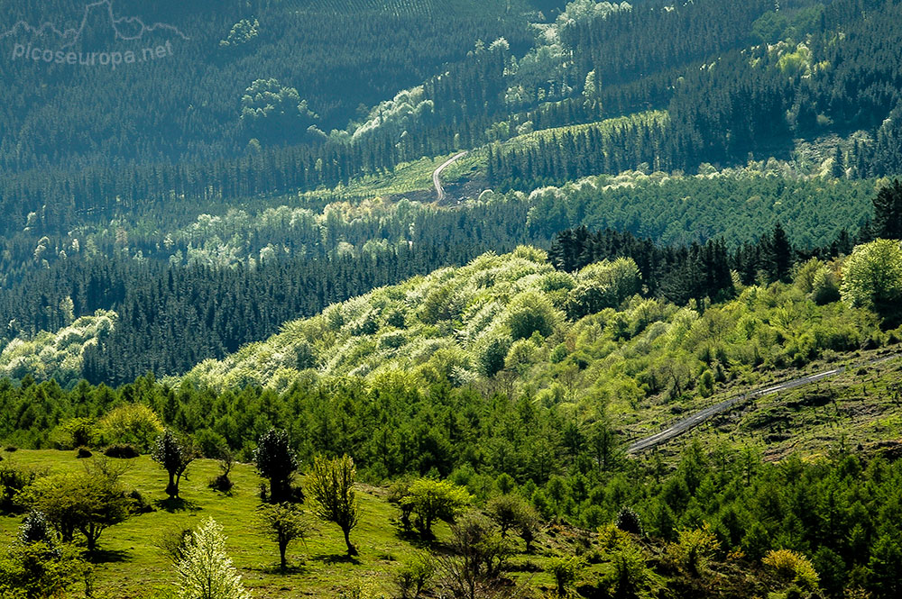 Parque Natural del Gorbea, Pais Vasco