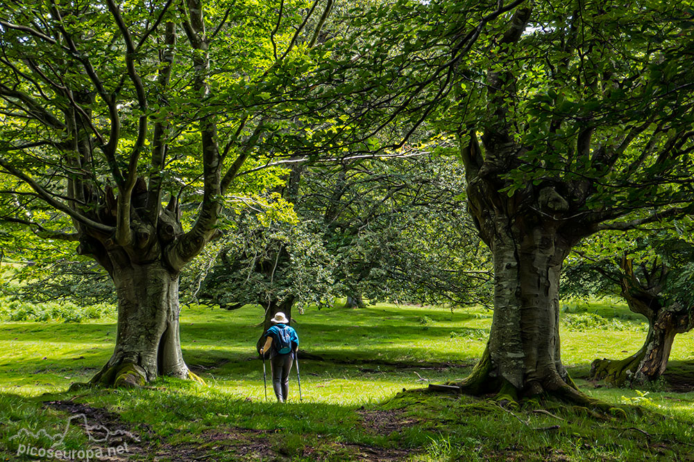 Foto: Parque Natural de Urkiola, Pais Vasco