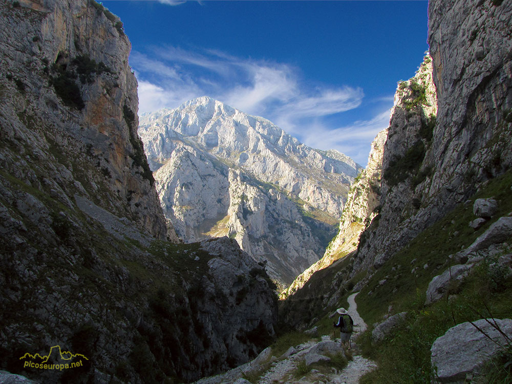 Foto: Canal del Tejo, Picos de Europa