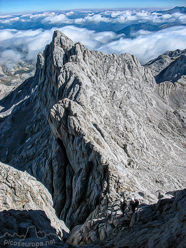 Foto: Arista Madejuno - Tiro Llago, Picos de Europa