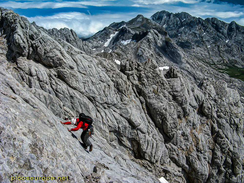 Foto: Arista Madejuno - Tiro Llago, Picos de Europa