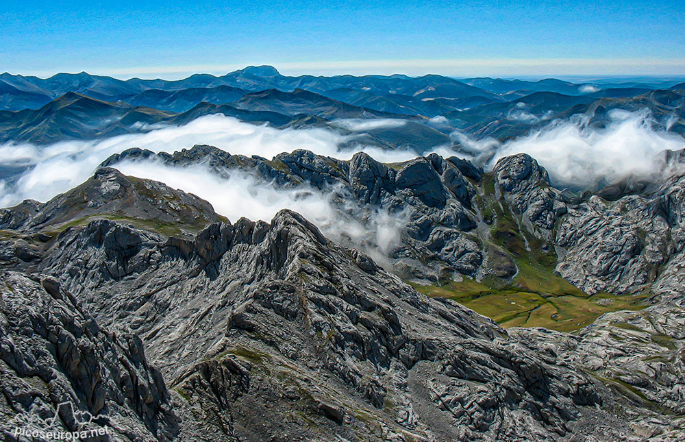 Foto: Arista Madejuno - Tiro Llago, Picos de Europa