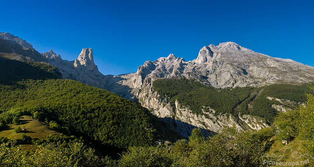 Vista del Picu de Urriellu, del Neveron y de los Albos desde las proxoimidades de la Majada de Arnandes