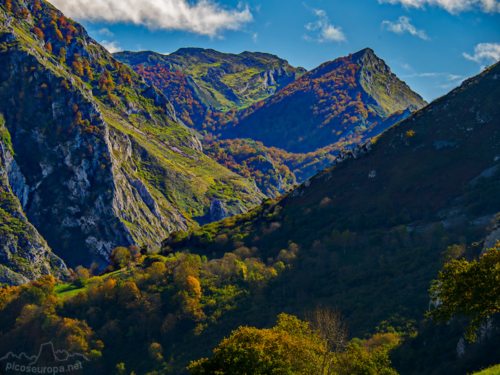 Foto: La cumbre del Jucantu desde Argolibio, Asturias