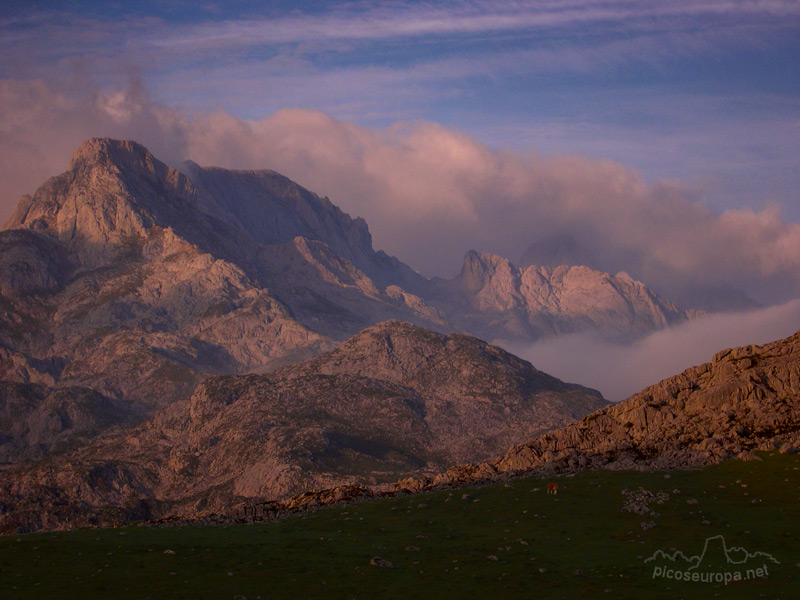 Verdilluenga, Picos de Europa, Parque Nacional, Asturias