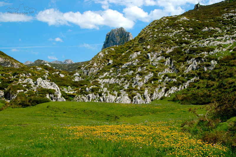 Vega de Comeya, lagos de Covadonga, Cornion, Picos de Europa, Parque Nacional, Asturias