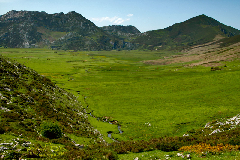 Vega de Comeya, lagos de Covadonga, Cornion, Picos de Europa, Parque Nacional, Asturias