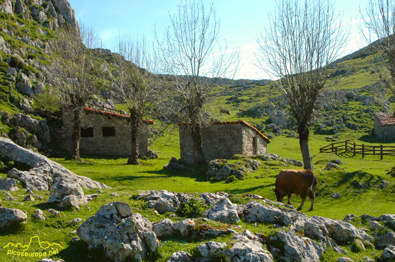 Cornion, Picos de Europa, Parque Nacional, Asturias