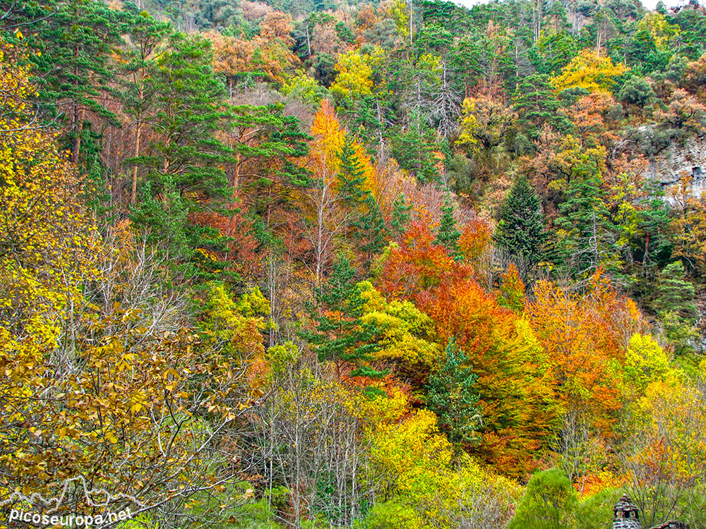 Zuriza, Pirineos de Huesca, Aragón